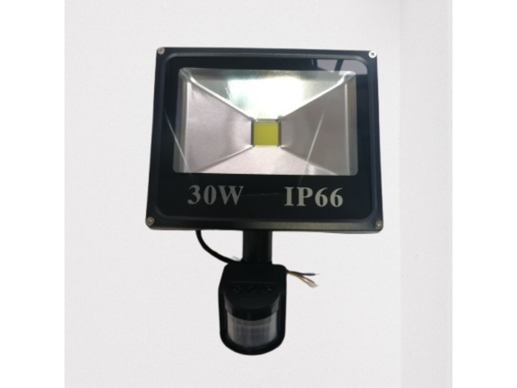 LED LAMPA SENZOR 30W